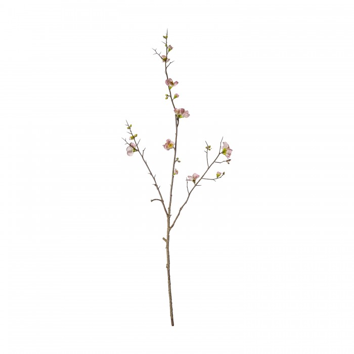 Blossom Stem Powder Pink (3pk)