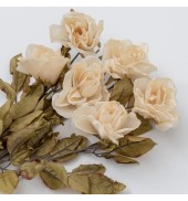 Dried Rose Stem (6pk) Ivory