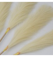 Goma Soft Feather Stem Ivory (5pk)