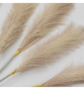 Goma Soft Feather Stem Blush (5pk)