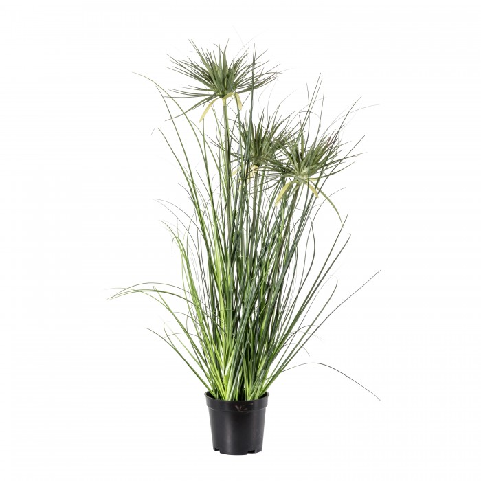 Potted Grass with 3 Flowers