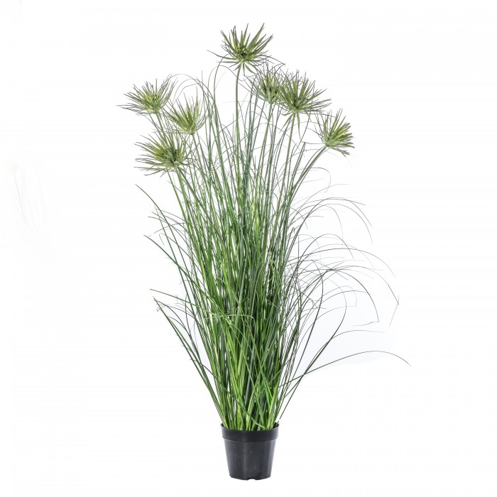 Potted Grass with 7 Flowers