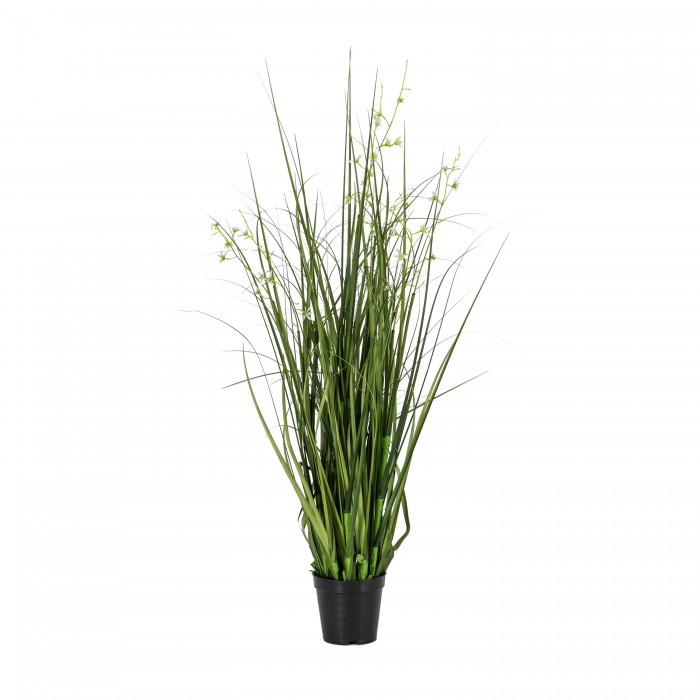 Potted Grass with 7 Heads Green/White