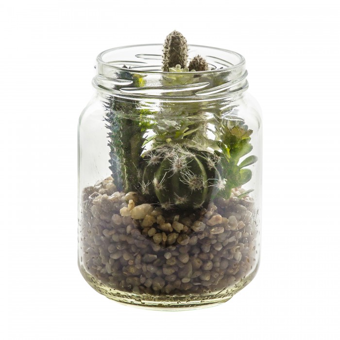 Succulent Garden In Glass Jar