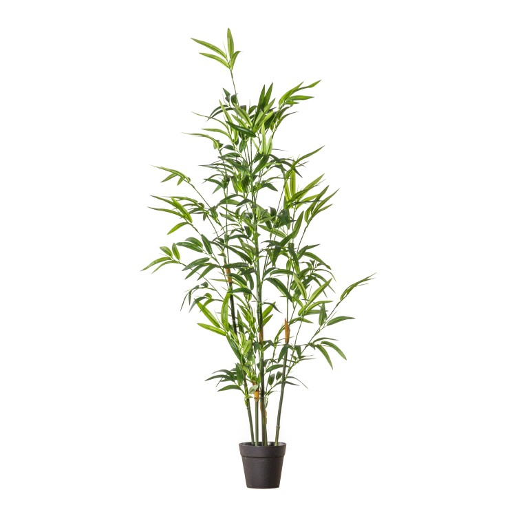 Bamboo with 330 Leaves