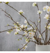 Cherry Blossom Stem White (3pk)
