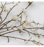 Cherry Blossom Stem White (3pk)