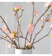 Cherry Blossom Stem Pink (3pk)