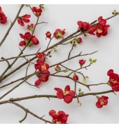 Cherry Blossom Stem Red (3pk)