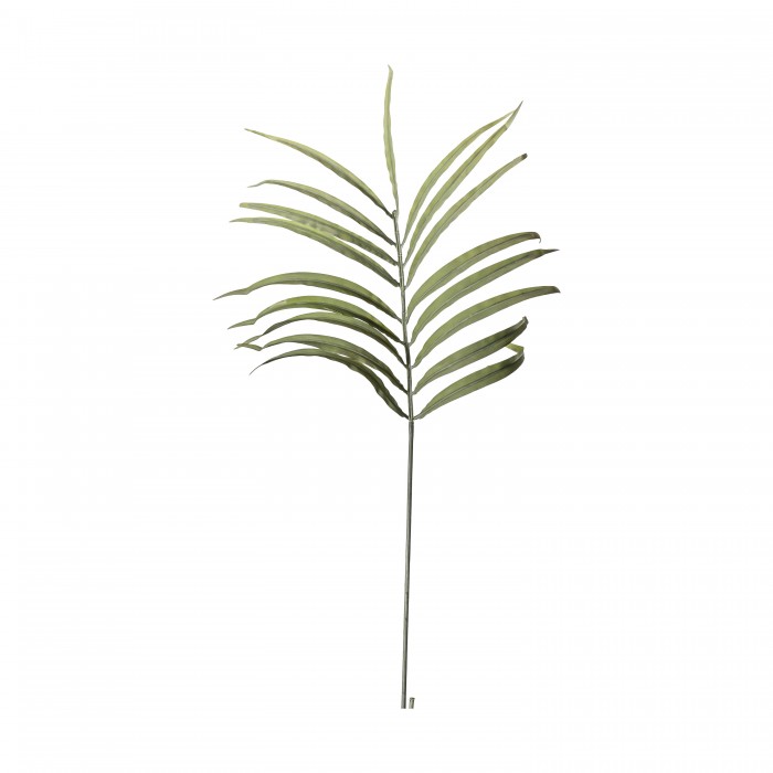 Palm Leaf Stem Dry Look (3pk)