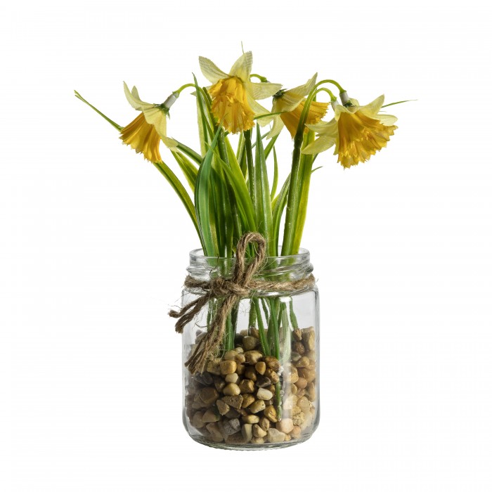 Daffodils in Glass Jar