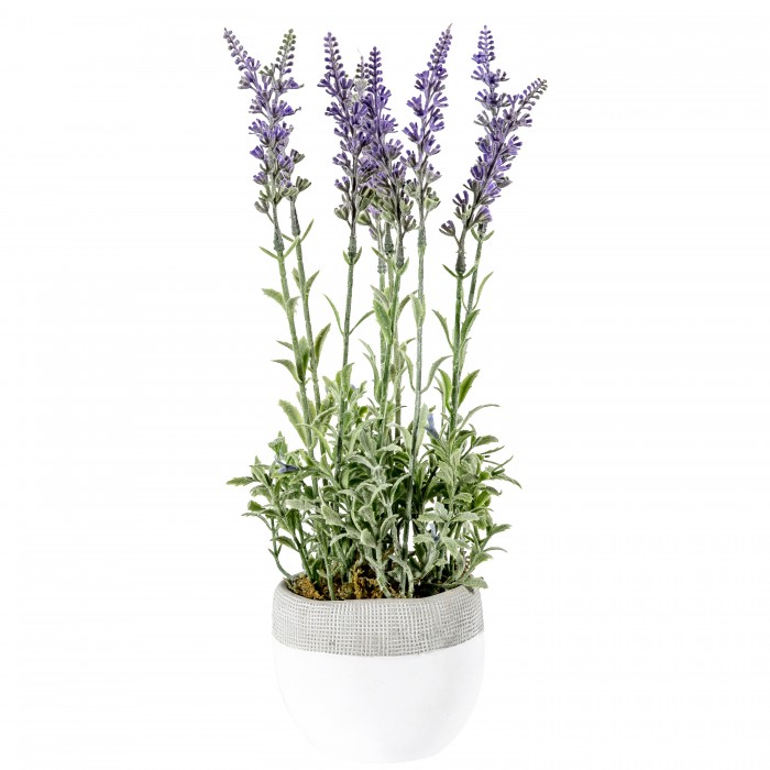 Lavender Lilac with White Pot Large