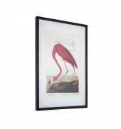Curious Flamingo Framed Art