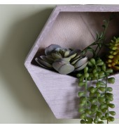 Wall Planter with Echeveria Succulent mix