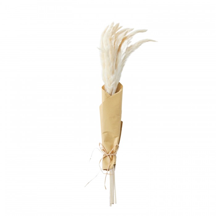 Dried Reed Grass Bundle in Paper Wrap White