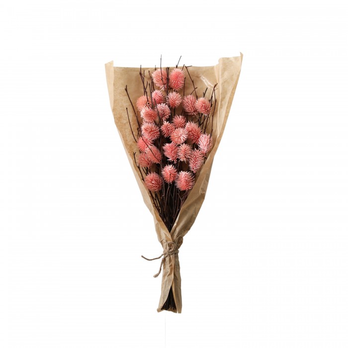Dried Thistle Bundle in Paper Wrap Blush Large