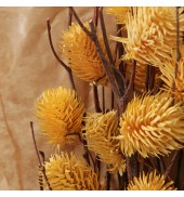 Dried Thistle Bundle in Paper Wrap Ochre Large