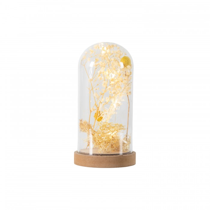 Dry Flora Dome with LED Cream & Yellow